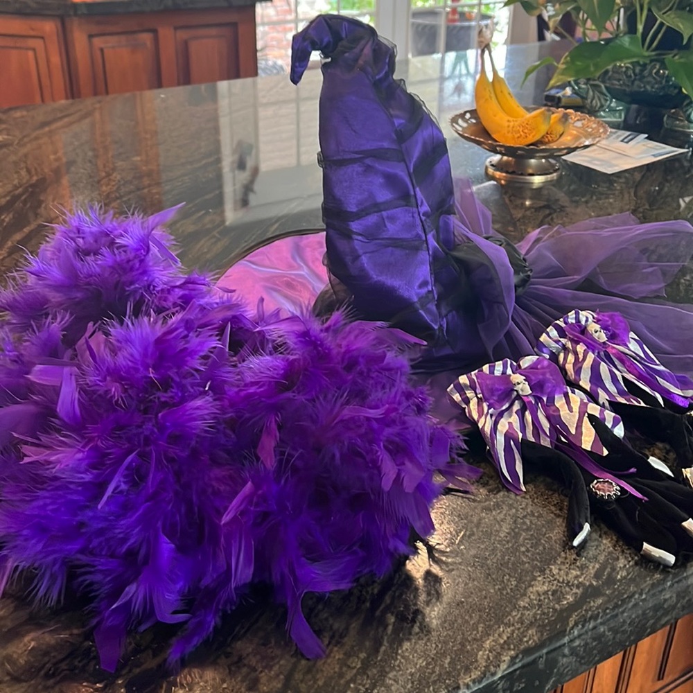 Purple witch hat
